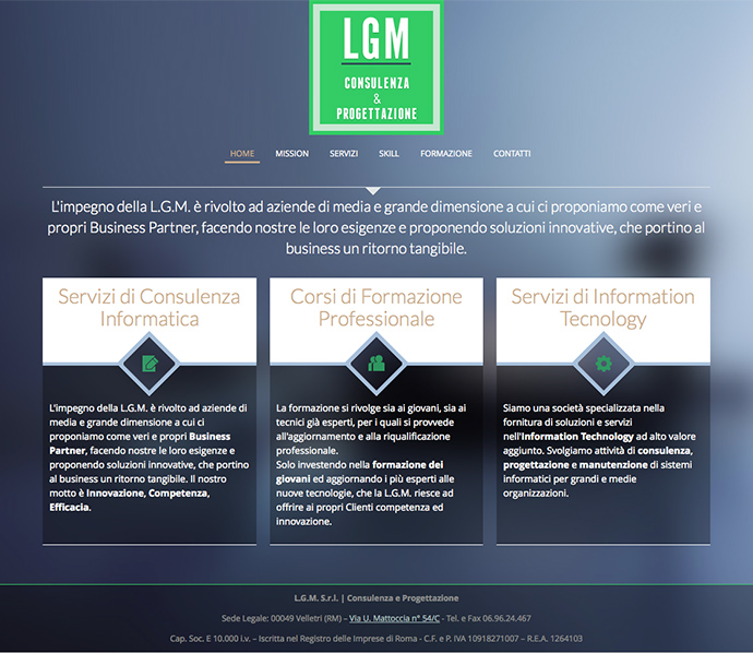 lgm consulting