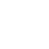 dannys point logo