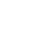 lancioni logo